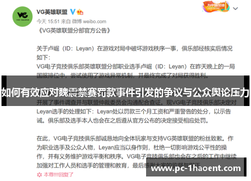 如何有效应对魏震禁赛罚款事件引发的争议与公众舆论压力