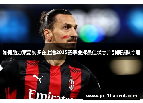 如何助力莱昂纳多在上港2025赛季发挥最佳状态并引领球队夺冠