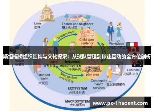 斯坦福桥组织结构与文化探索：从球队管理到球迷互动的全方位剖析
