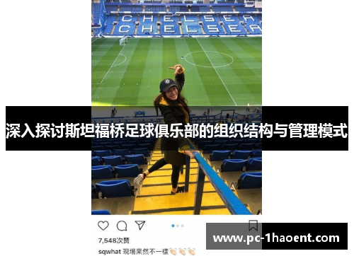 深入探讨斯坦福桥足球俱乐部的组织结构与管理模式
