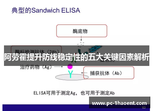 阿劳霍提升防线稳定性的五大关键因素解析