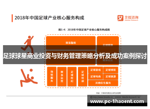 足球球星商业投资与财务管理策略分析及成功案例探讨